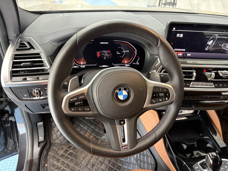 BMW X4, 2025 — фото 7 из 12
