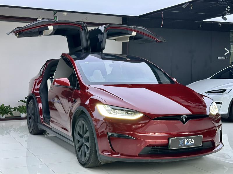 Tesla Model X, 2023 — фото 3 из 12