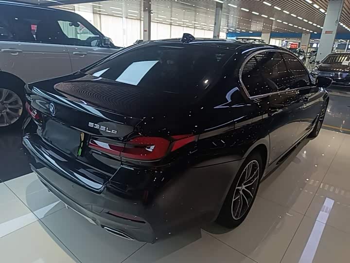 BMW 5 Series Hybrid, 2023 — фото 7 из 9