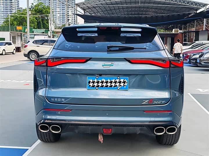 Changan Oshan Z6, 2022 — фото 8 из 9