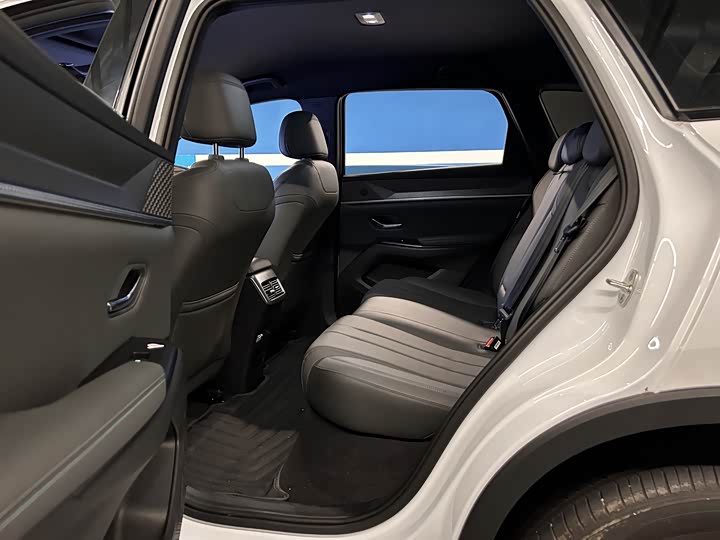 BYD Song Pro Hybrid, 2025 — фото 8 из 9