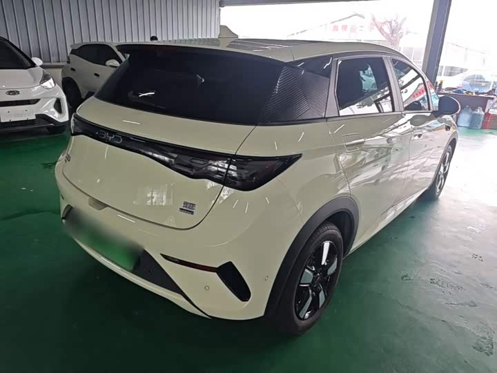 BYD Dolphin, 2025 — фото 7 из 9