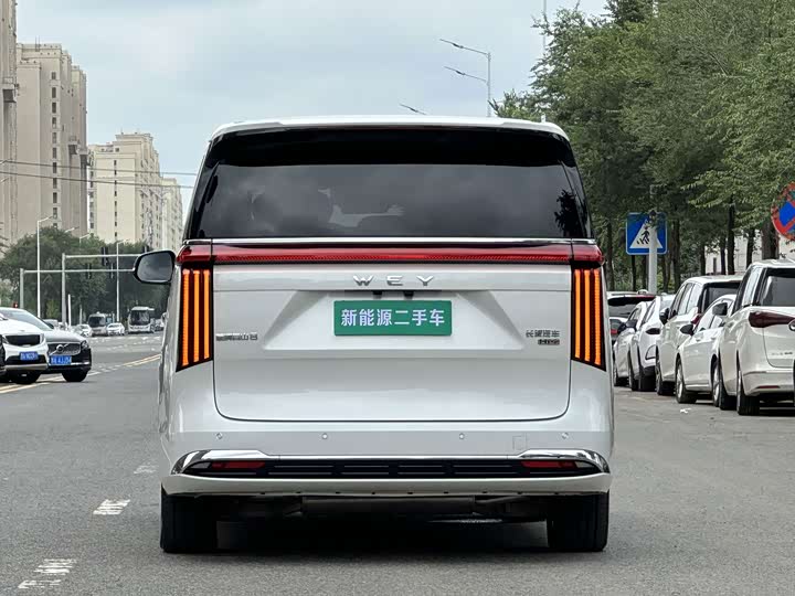 Wey 80 Hybrid, 2025 — фото 8 из 9