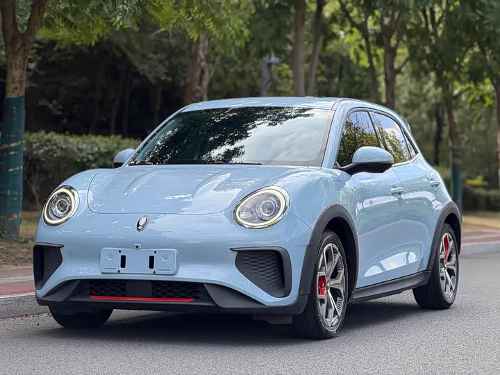 Ora Good Cat GT (03 GT), 2022 — купить в Самаре под ключ