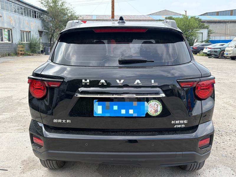 Haval H-Dog, 2024 — фото 3 из 10