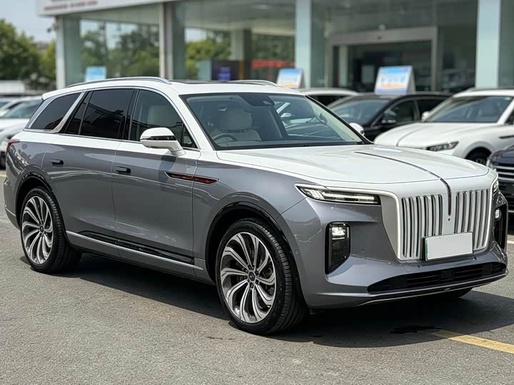 Hongqi E-HS9, 2021 — фото 3 из 9