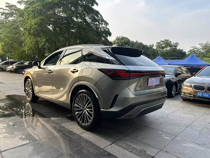Lexus RX, 2023 — фото 7 из 9