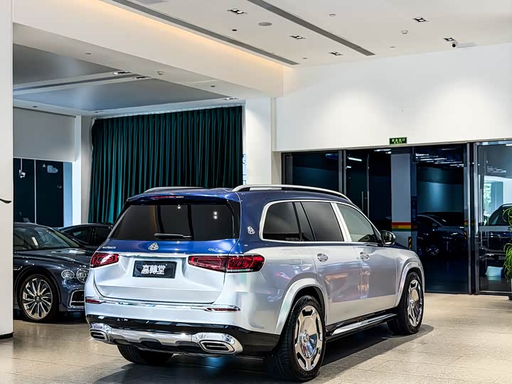 Mercedes-Benz Maybach GLS, 2022 — фото 4 из 9