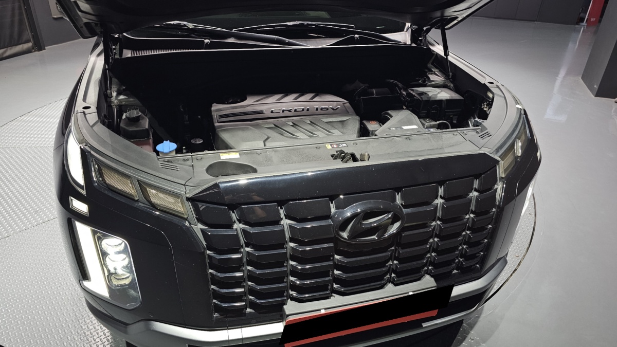 Hyundai Palisade, 2022 — фото 6 из 12