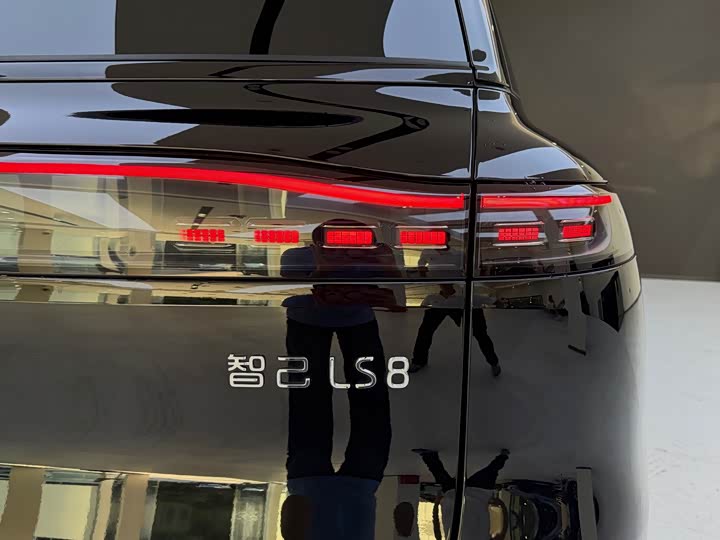 IM motors LS8, 2025 — фото 9 из 9