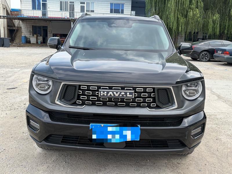 Haval H-Dog, 2024 — фото 2 из 10