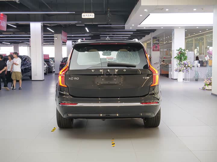 Volvo XC90 Hybrid, 2025 — фото 6 из 9