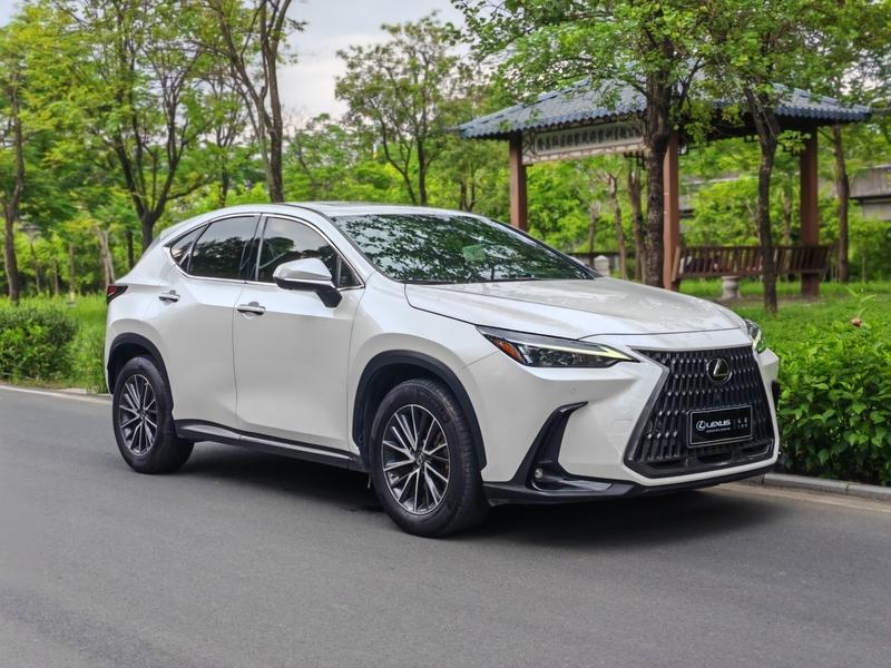 Lexus NX, 2022 — фото 3 из 12