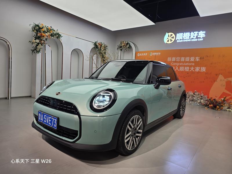 Mini Mini, 2025 — купить в Ульяновске под ключ