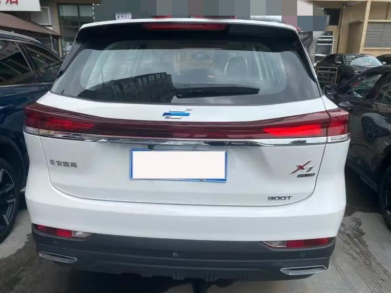 Changan Oshan X7 Plus, 2022 — фото 5 из 12