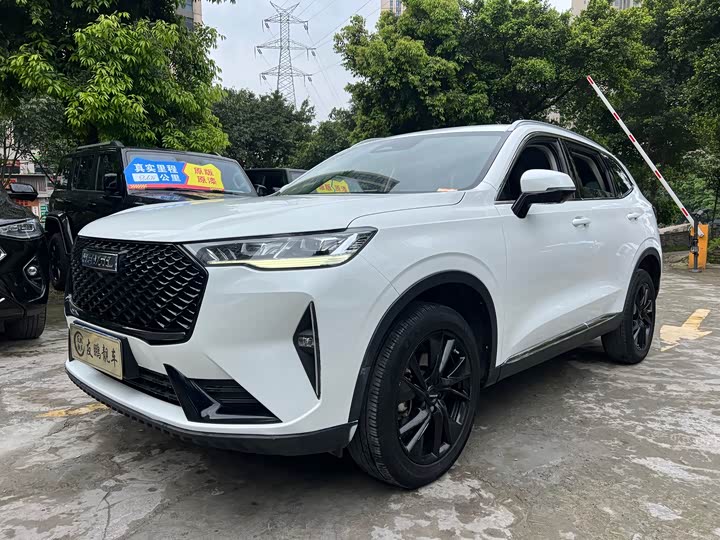 Haval H6, 2022 — купить в Санкт-Петербурге под ключ