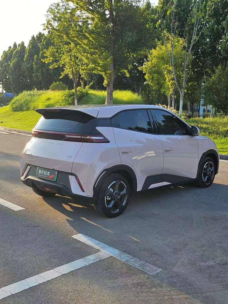 BYD Seagull, 2024 — фото 5 из 8