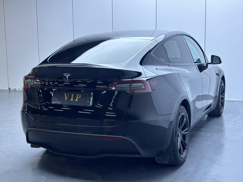 Tesla Model Y, 2021 — фото 6 из 10