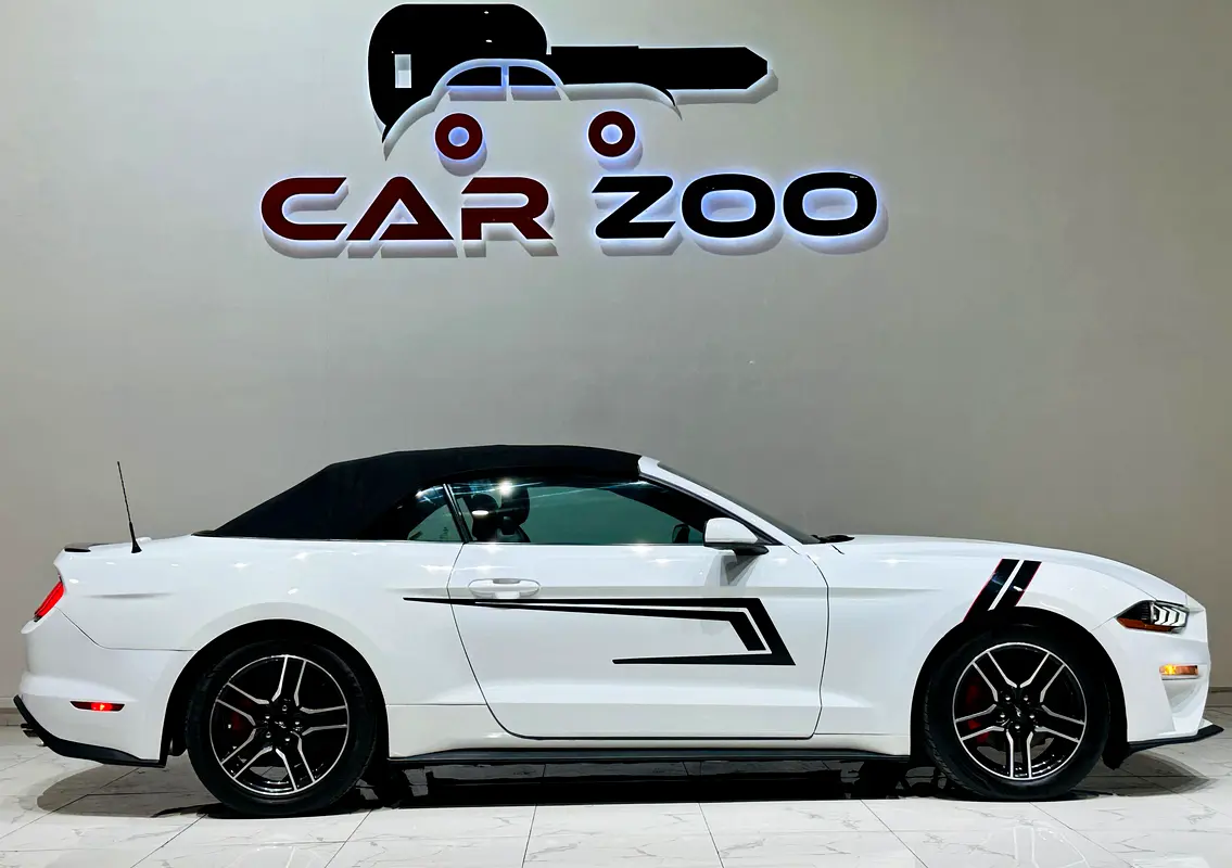 Ford Mustang, 2022 — фото 3 из 10