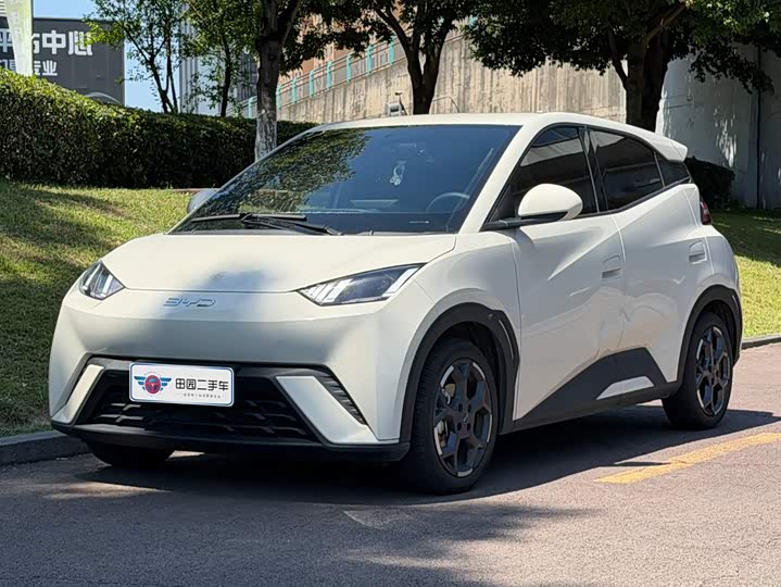 BYD Seagull, 2024 — купить в Саратове под ключ