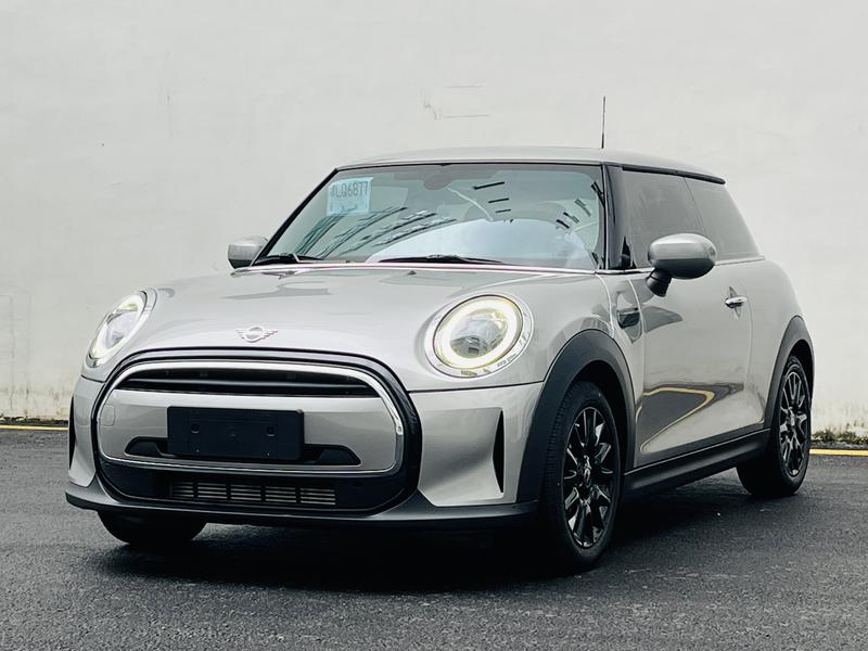 Mini Mini, 2023 — купить в Ульяновске под ключ