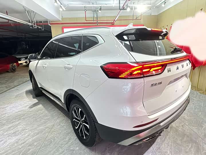 Haval H6, 2022 — фото 7 из 9