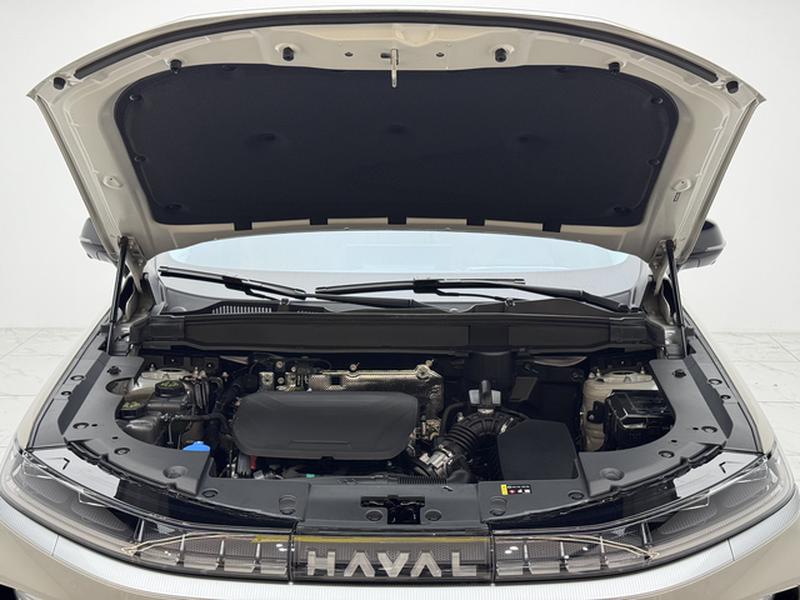 Haval Ruge Max, 2025 — фото 12 из 12