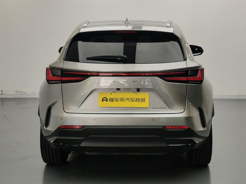 Lexus NX, 2021 — фото 6 из 12