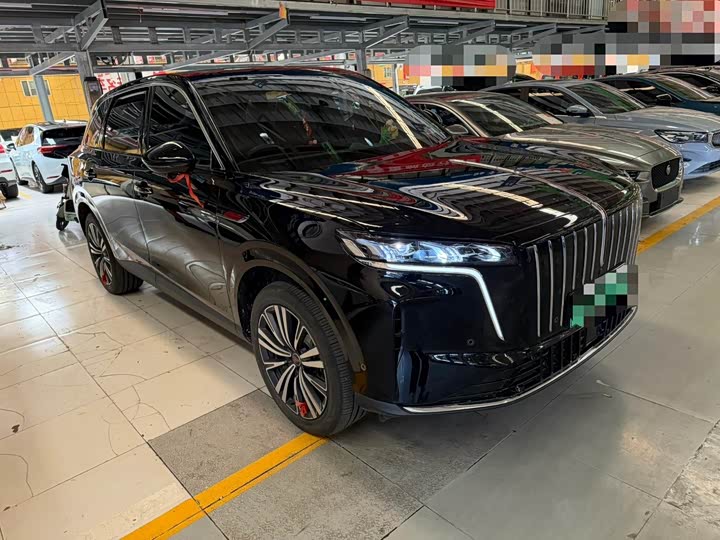 Hongqi HS6 Hybrid, 2025 — фото 3 из 9