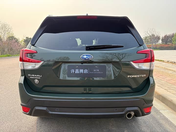 Subaru Forester, 2022 — фото 6 из 9