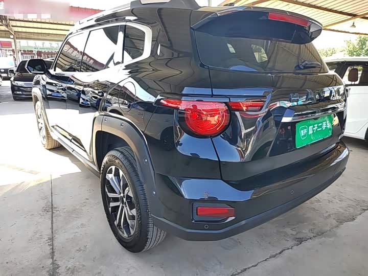 Haval H-Dog, 2024 — фото 5 из 9