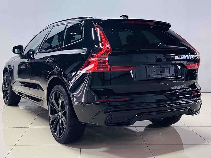 Volvo XC60 Hybrid, 2024 — фото 8 из 9