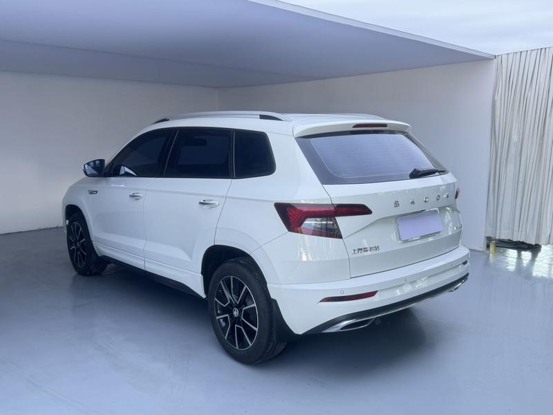 Skoda Karoq, 2024 — фото 4 из 12