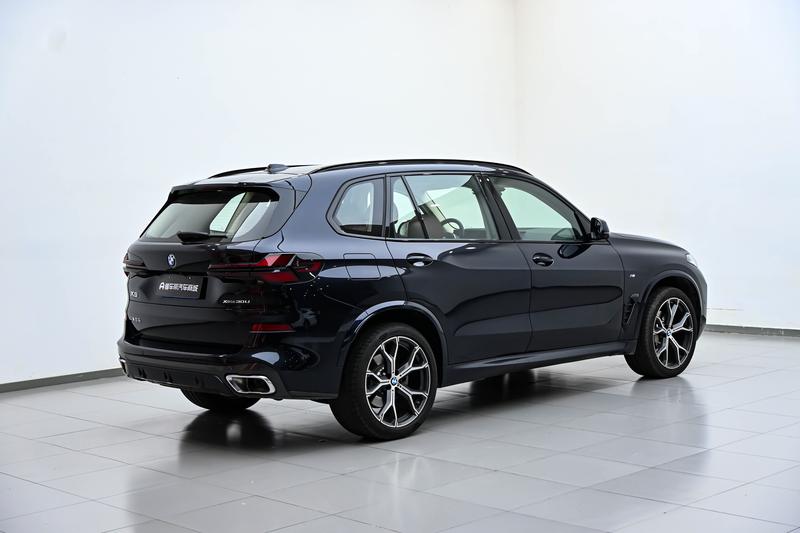 BMW X5, 2025 — фото 7 из 12