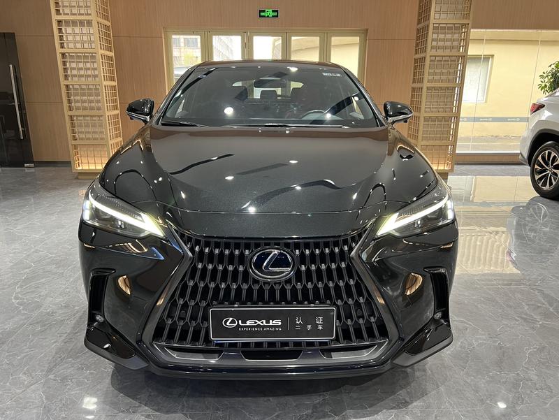 Lexus NX, 2023 — фото 2 из 12