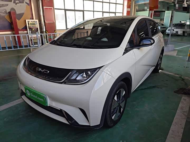 BYD Dolphin, 2023 — купить в Тамбове под ключ
