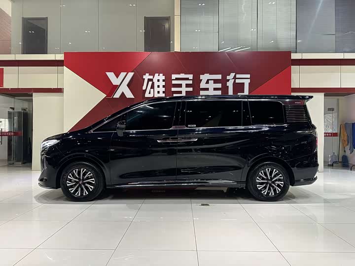 Hongqi HQ9 Hybrid, 2024 — фото 3 из 9