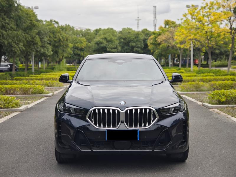 BMW X6, 2024 — фото 2 из 10