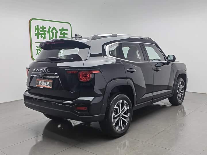 Haval H-Dog, 2025 — фото 2 из 9