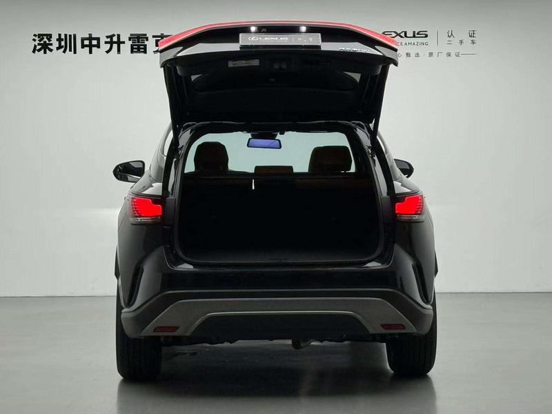 Lexus RX, 2025 — фото 9 из 10