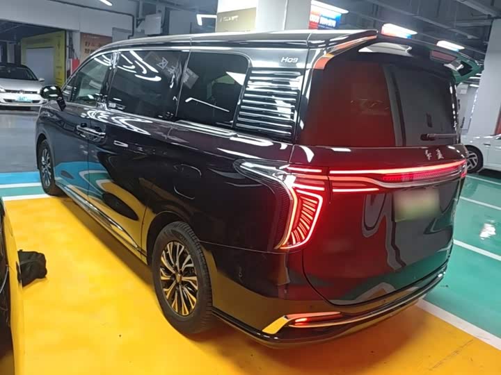 Hongqi HQ9 Hybrid, 2024 — фото 5 из 9
