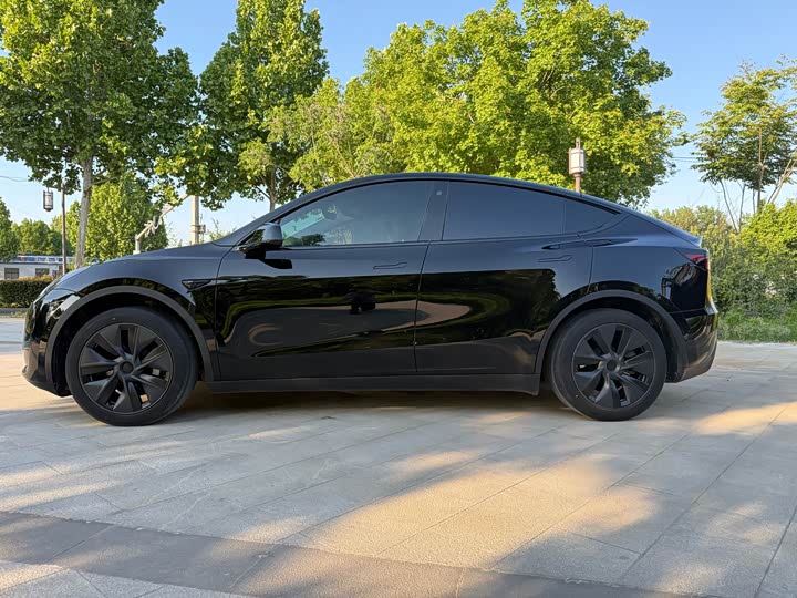 Tesla Model Y, 2023 — фото 5 из 9