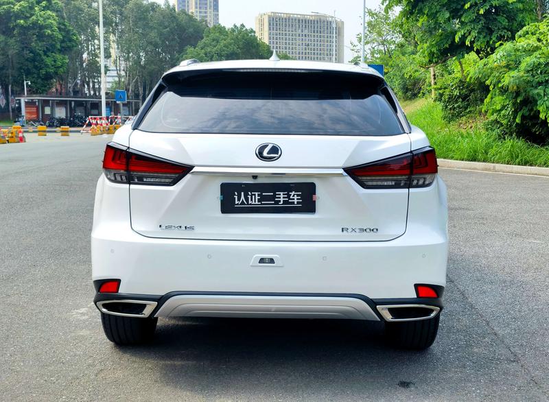 Lexus RX, 2022 — фото 6 из 12
