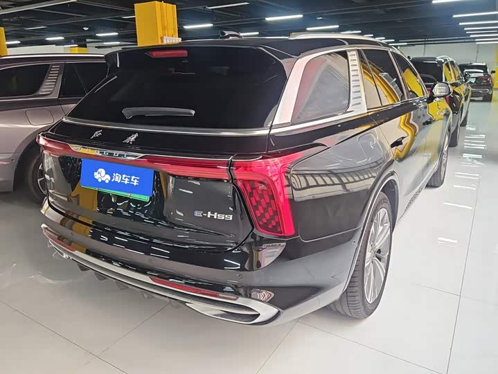 Hongqi E-HS9, 2023 — фото 3 из 9