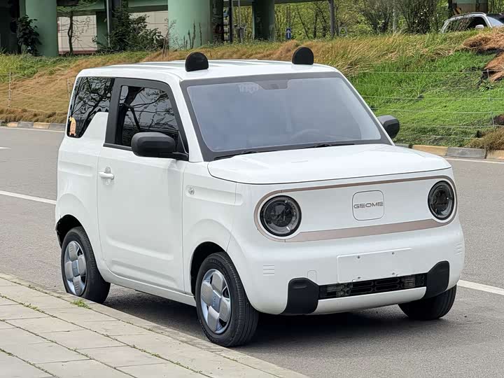 Geely Galaxy Panda Mini, 2023 — фото 5 из 9
