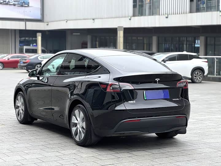 Tesla Model Y, 2023 — фото 9 из 9