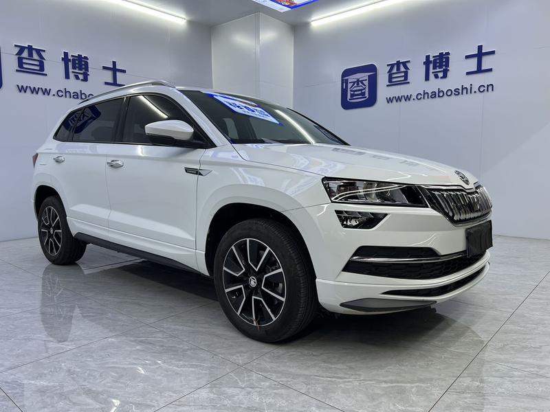 Skoda Karoq, 2024 — фото 3 из 12