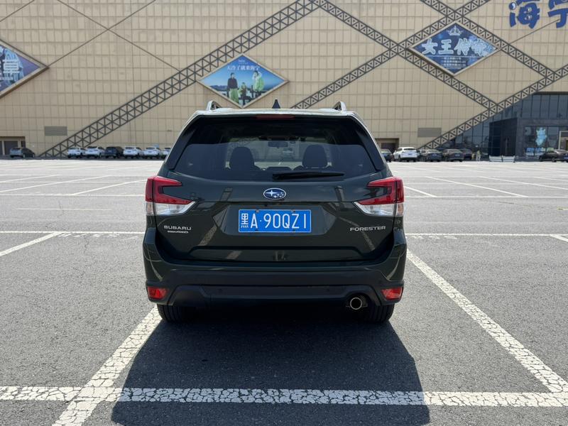 Subaru Forester, 2022 — фото 5 из 12
