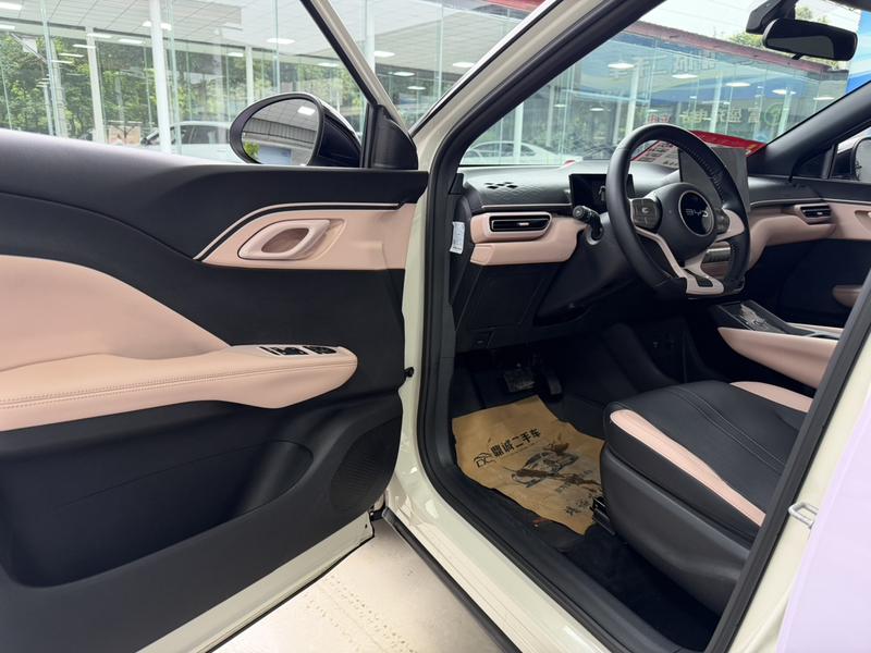 BYD Seagull, 2023 — фото 6 из 8