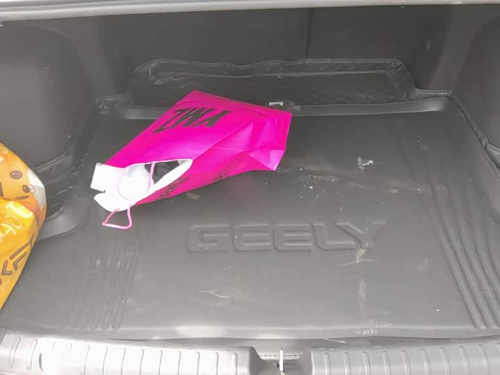 Geely Emgrand, 2025 — фото 4 из 9
